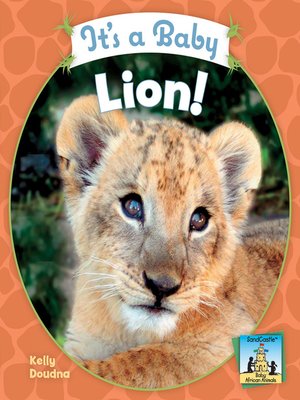 cover image of It's a Baby Lion!